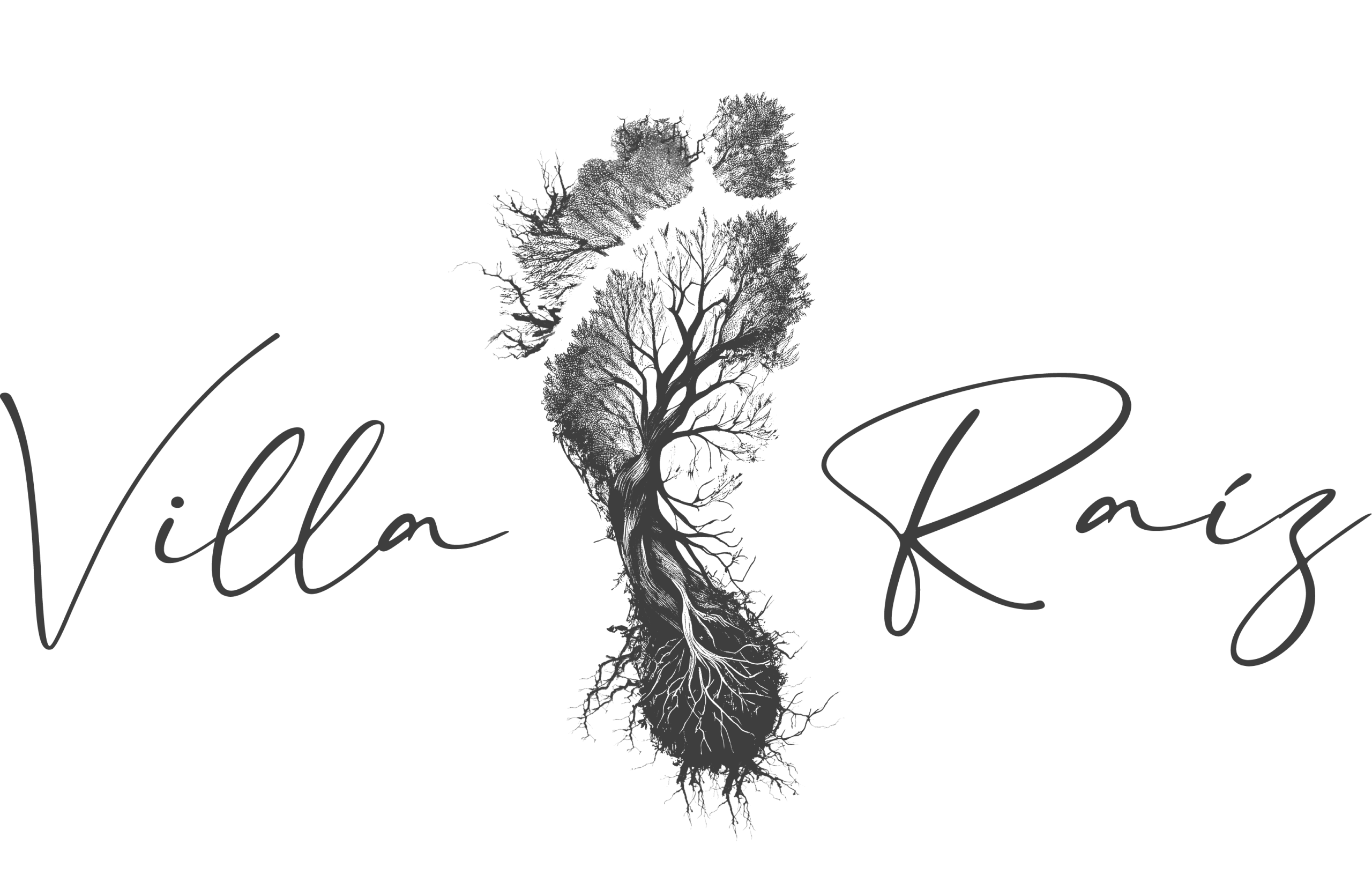 logo hotel villa raíz